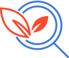 Organic Seo Icon