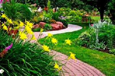 Landscape Winning Story
